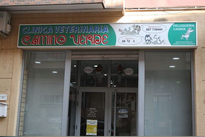 Camino Verde (Cehegín)