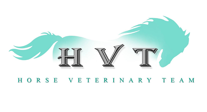 HVT Veterinarios (Lorca)