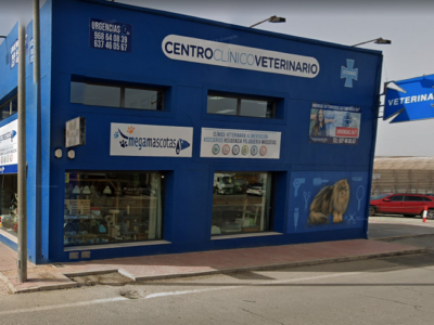 Asociación Canina Nacional ACCAM (Molina de Segura)