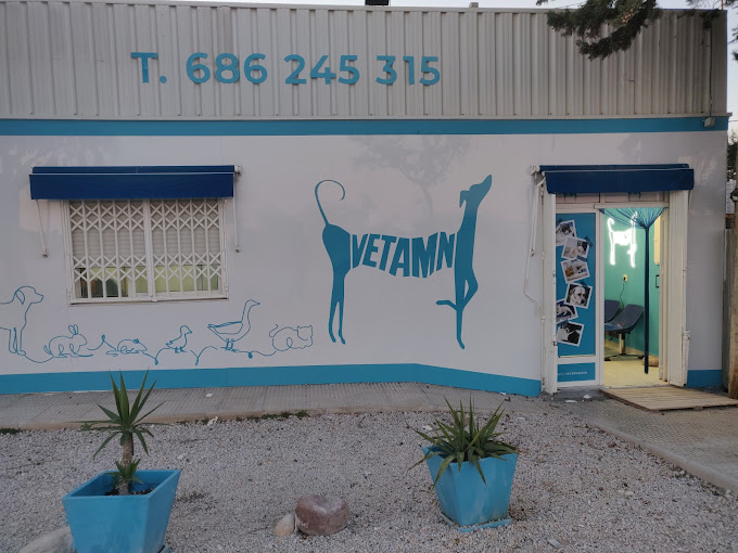Clínica Veterinaria Vetam Molina de Segura (Molina de Segura)