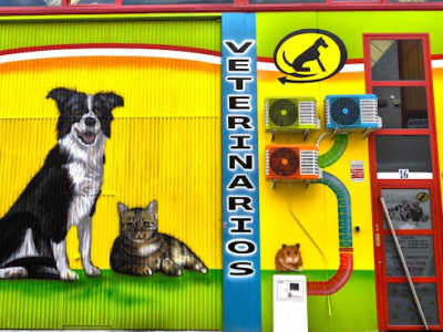 Clinicanimal Veterinarios (Molina de Segura)