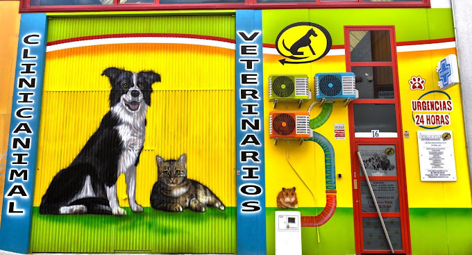 Clinicanimal Veterinarios (Molina de Segura)