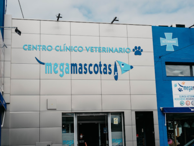 Megamascotas (Molina de Segura)