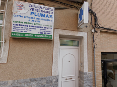 Clínica Veterinaria Plumas (Molina de Segura)