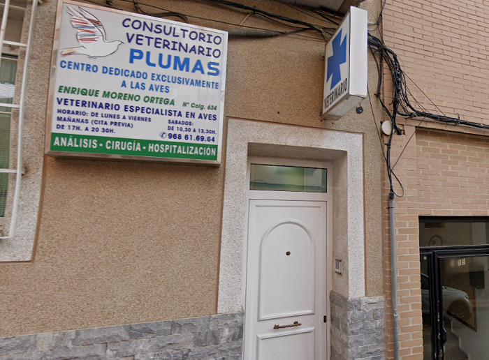 Clínica Veterinaria Plumas (Molina de Segura)