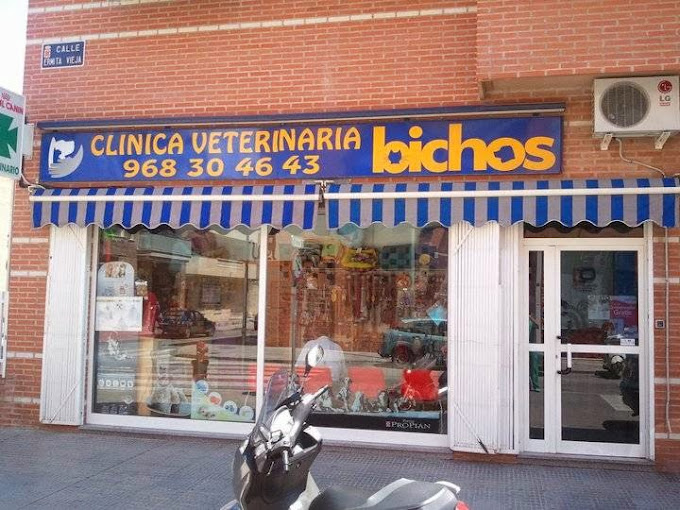 Clínica Veterinaria Bichos (Murcia)