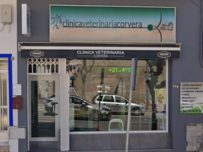 Clínica Veterinaria Corvera (Murcia)