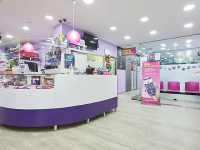 Clínica Veterinaria Dinos - Felina (Murcia)