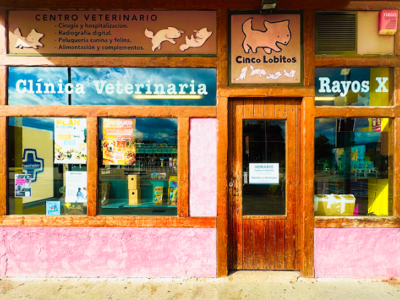 Clínica Veterinaria Cinco Lobitos (Huarte)