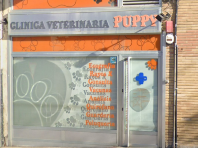 PUPPY Clínica Veterinaria (Noáin)