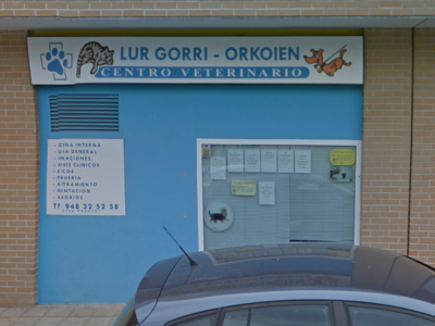 Lur Gorri (Orkoien / Orcoyen)