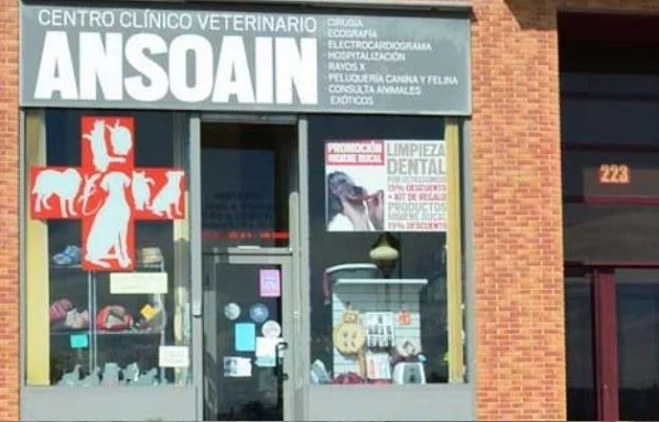 Centro Clínico Veterinario Ansoáin (Pamplona)