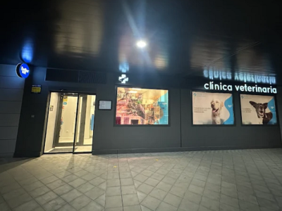 Clínica veterinaria Bettervet Soto de Lezkairu (Pamplona)