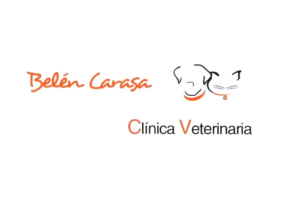 Clínica Veterinaria Belén Carasa (Tudela)