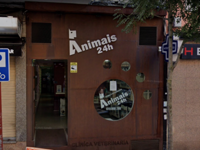 Animais – Clínica Veterinaria (Ourense)