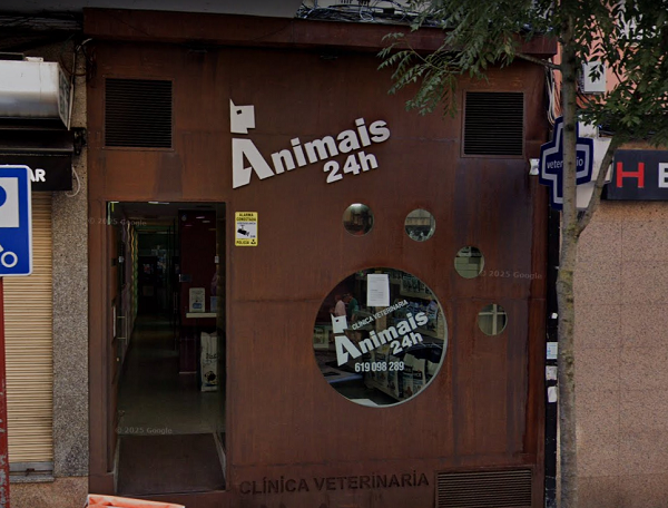 Animais – Clínica Veterinaria (Ourense)
