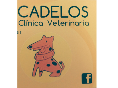 Cadelos Clínica Veterinaria (Ourense)