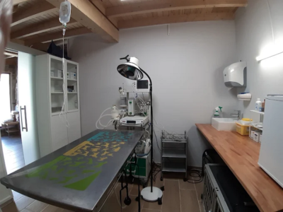 Centro Veterinario da Costa (Allariz)