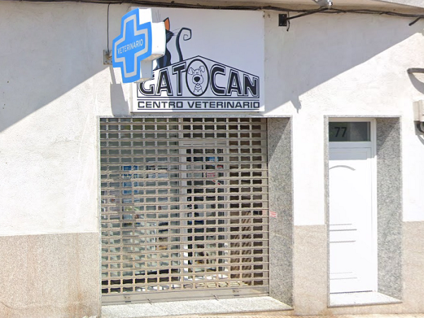 Gatocan Centro Veterinario (Toén)