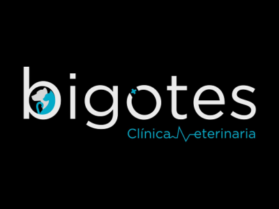Clínica Veterinaria Bigotes (Palencia)