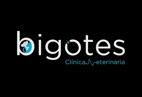 Clínica Veterinaria Bigotes (Palencia)