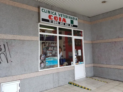 Clínica Veterinaria Coia (Vigo)
