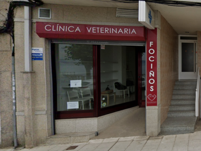 Clínica Veterinaria Fociños Bueu Morrazo (Bueu)