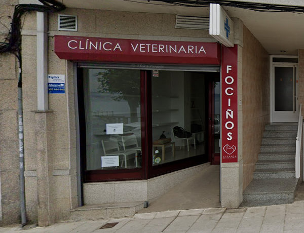 Clínica Veterinaria Fociños Bueu Morrazo (Bueu)