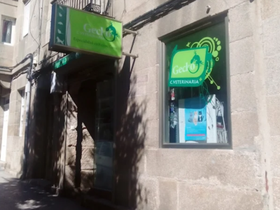 Gecko Centro Veterinaria (Vigo)