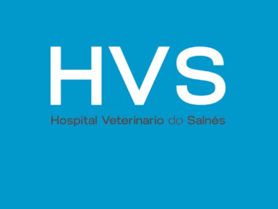 HVS Vilagarcía (Vilagarcía De Arousa)