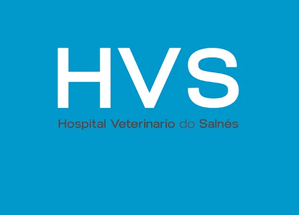 HVS Vilagarcía (Vilagarcía De Arousa)