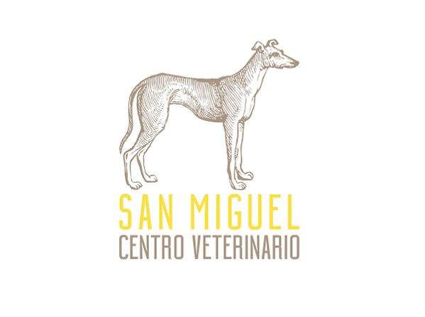 Clínica Veterinaria San Miguel (Vilanova De Arousa)