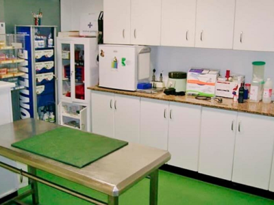 Clínica Veterinaria O Canciño (Lalín)