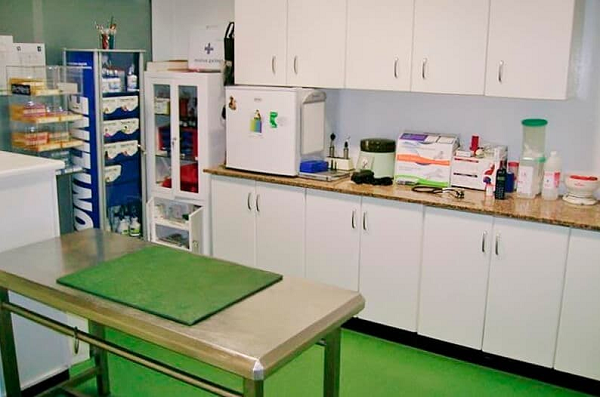 Clínica Veterinaria O Canciño (Lalín)