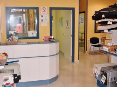 Clínica veterinaria O Canciño (A Estrada)