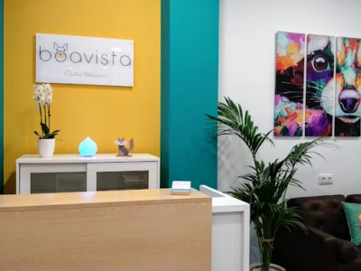 Boavista Oftalmología Veterinaria (Moaña)