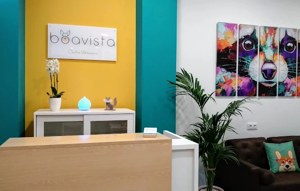 Boavista Oftalmología Veterinaria (Moaña)