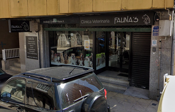 Fauna's (Moaña)