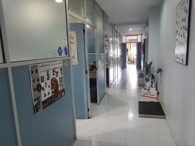 Ánade Centro Veterinario (O Porriño)
