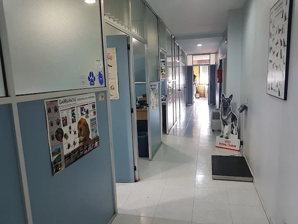 Ánade Centro Veterinario (O Porriño)