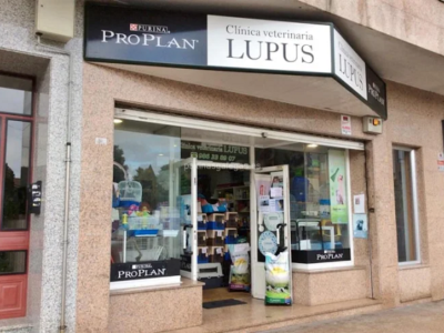 Lupus Porriño (O Porriño)