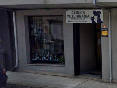 Clínica Veterinaria Ponte Caldelas (Ponte Caldelas)