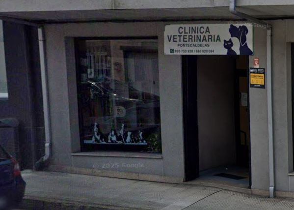Clínica Veterinaria Ponte Caldelas (Ponte Caldelas)