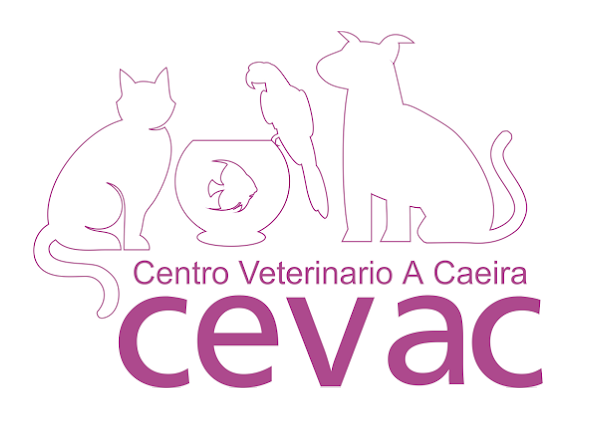 Centro Veterinario A Caeira (Poio)