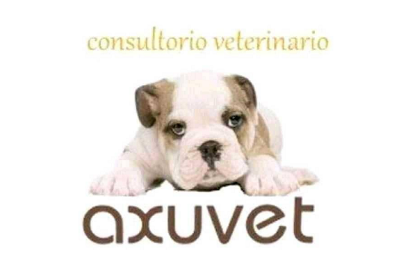 Axuvet Centro Veterinario (Redondela)