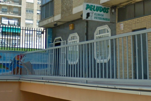 Clínica Veterinaria Peludos C B (Salamanca)