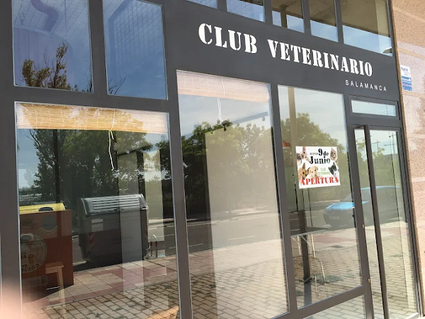 Club Veterinario Salamanca (Salamanca)