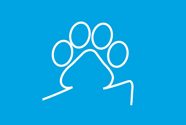 Clínica Veterinaria Salinero (Salamanca)