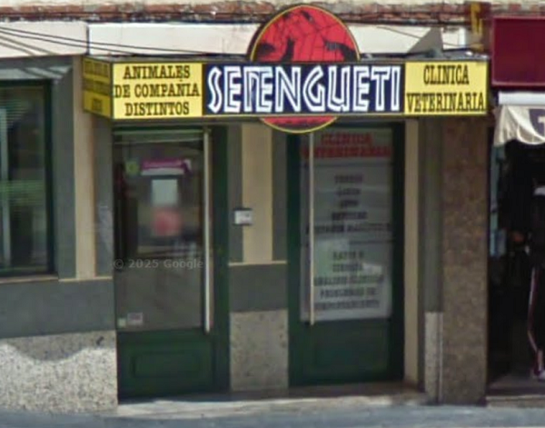 Serengueti (Salamanca)