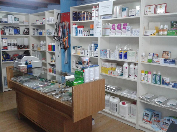 Chamorro Zarza (Guijuelo)